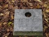 image of grave number 199242